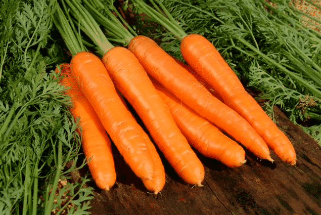 Carrots are a popular folk remedy used to treat male potency. 