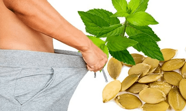 Folk remedies to increase potency in men