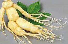 ginseng
