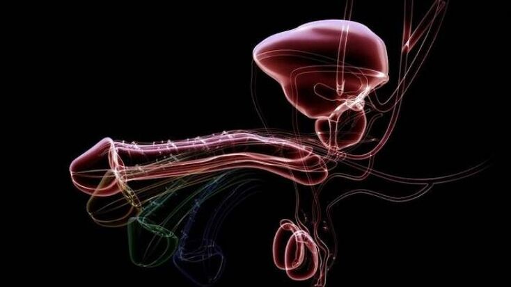 Why do men have discharge when they are excited and is it normal